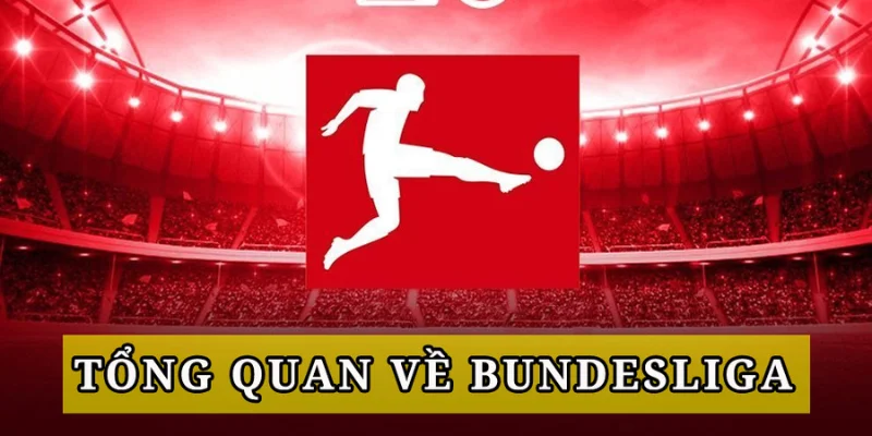 Kèo Bóng Đá Bundesliga - Cơ Hội Thắng Lớn Không Nên Bỏ Lỡ! 2 Các loại kèo trong Bundesliga